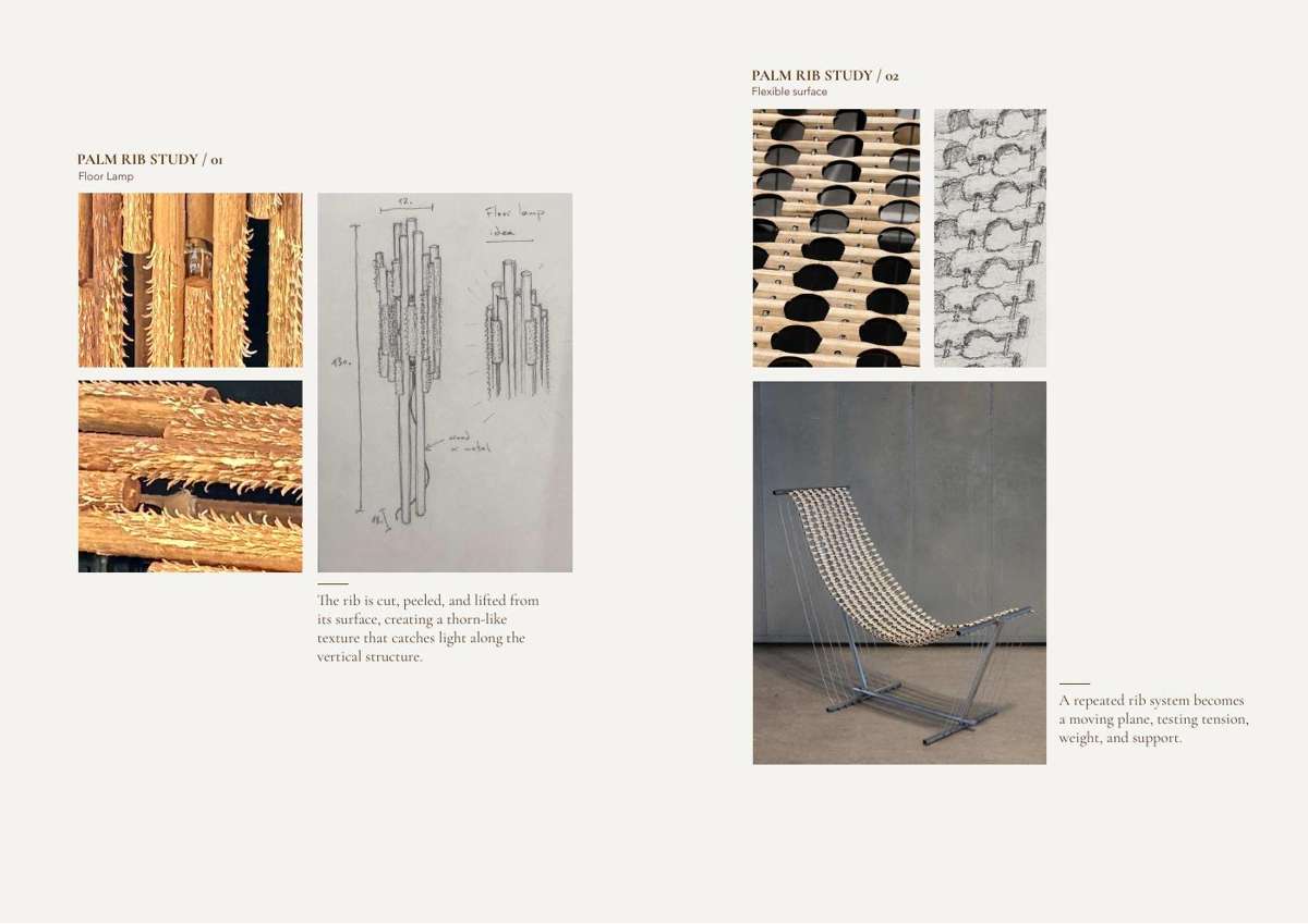 Palm rib studies: Floor Lamp and Flexible Surface